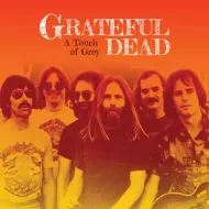 Grateful Dead – Touch of Grey – Multitrack (WAV)